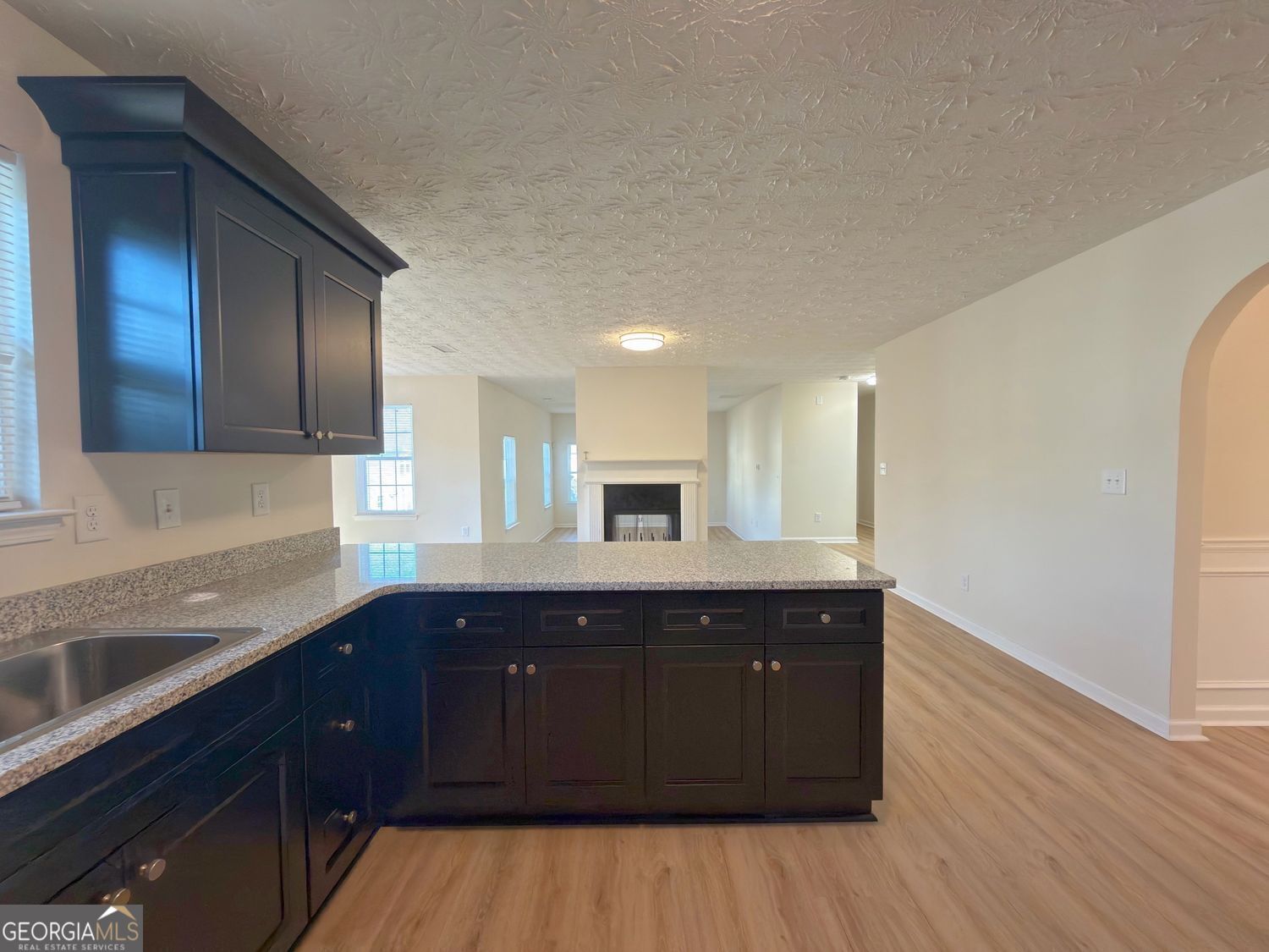 2770 Austin Ridge Drive Dacula GA 30019