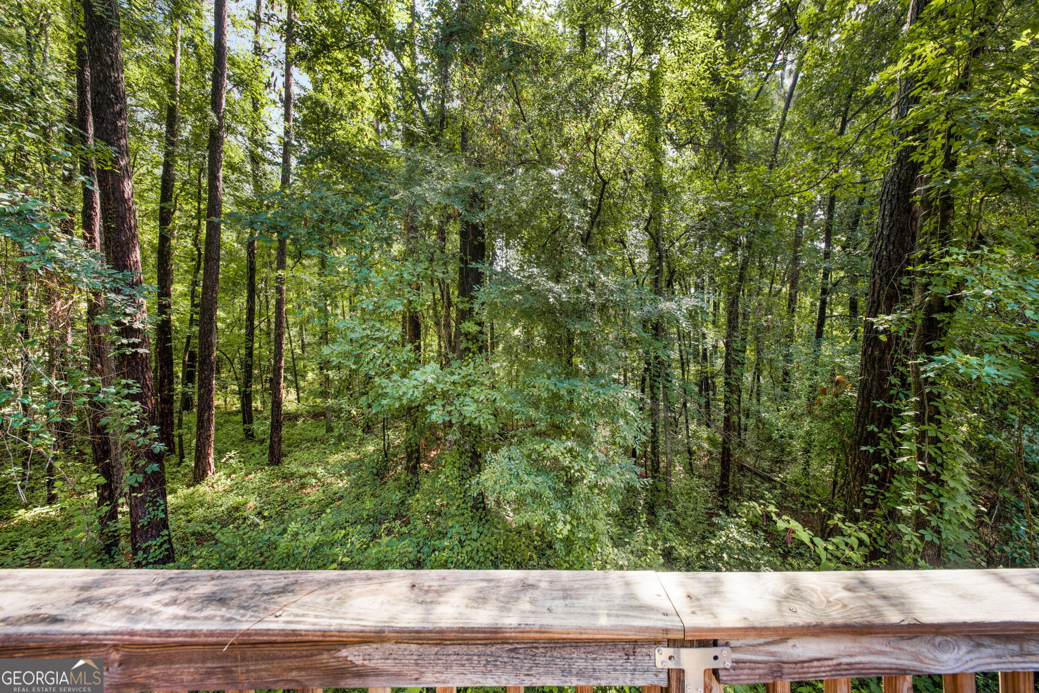 536 Loblolly Lane Macon GA 31220