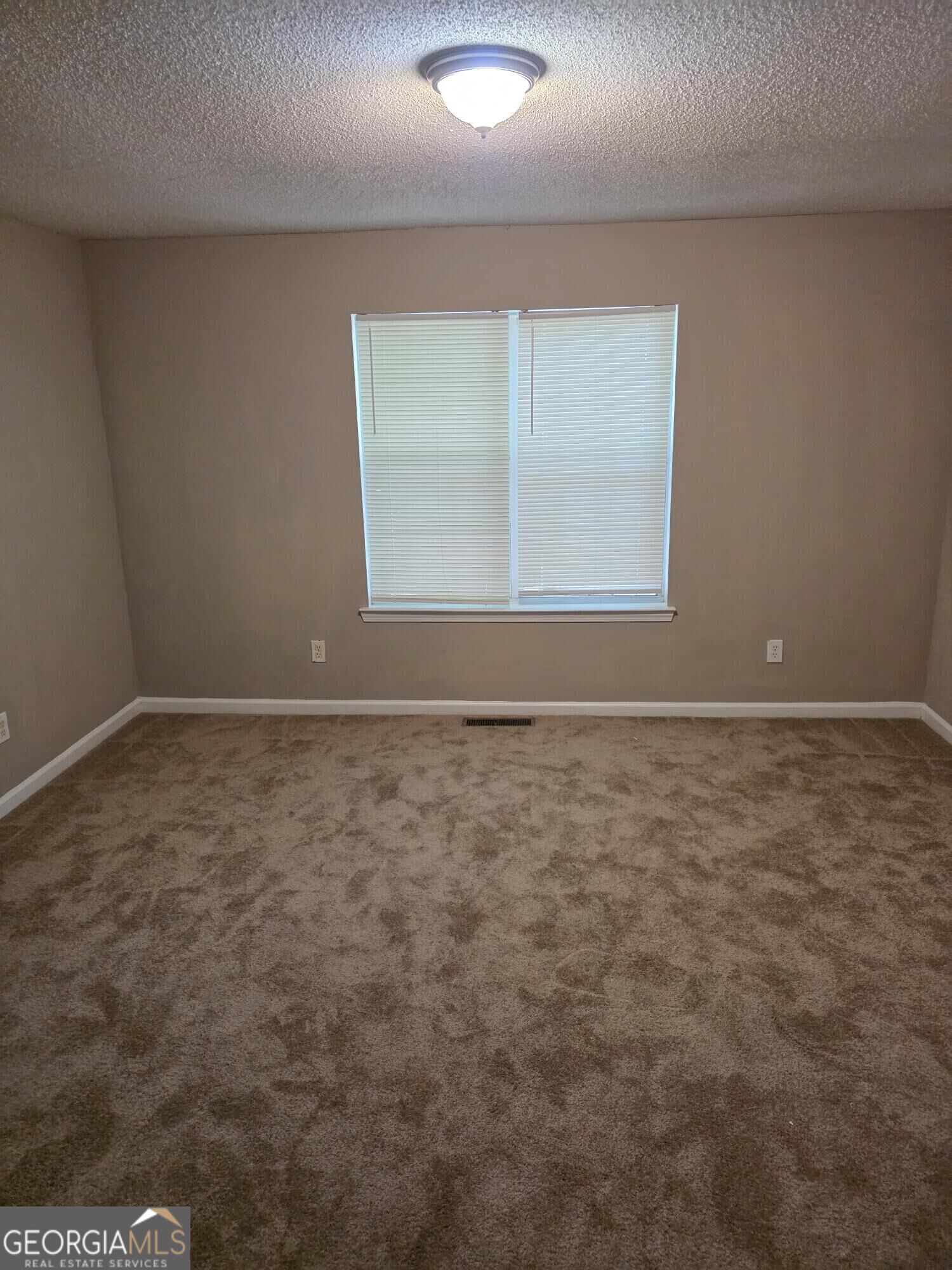 2481 Brianna Drive Hampton GA 30228