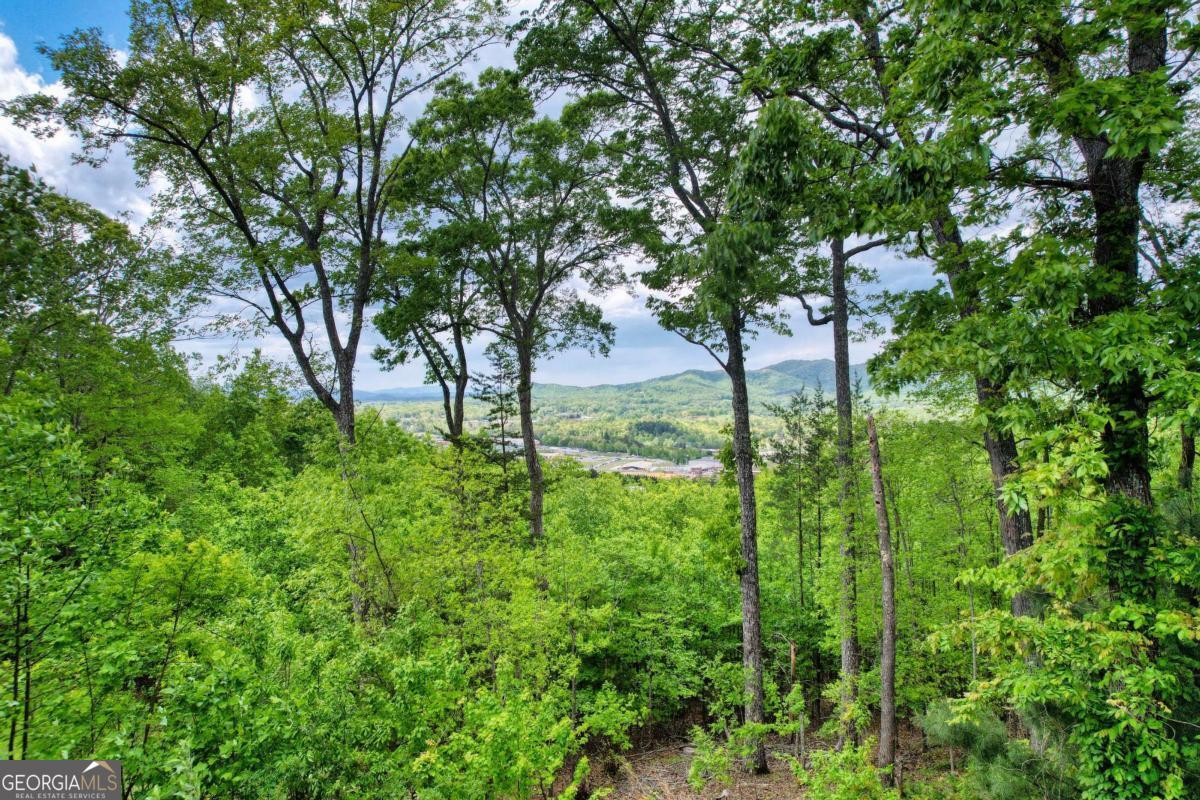 911 Summit Way Blairsville GA 30512