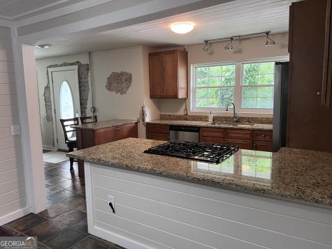 66 Logan Lane Ellijay GA 30540