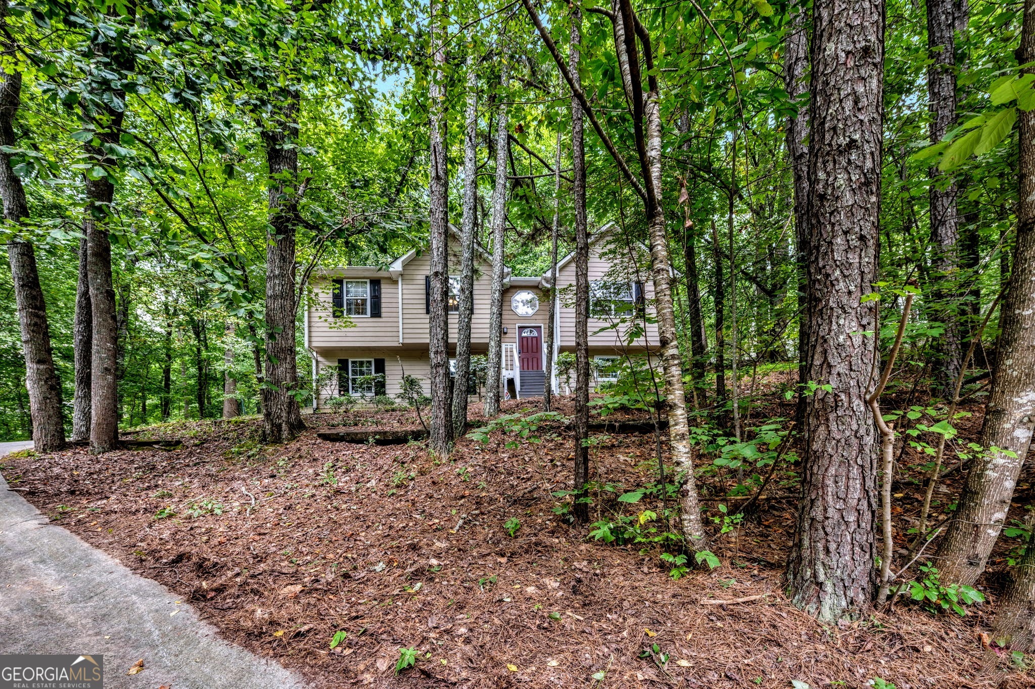 221 Remington Lane Acworth GA 30101