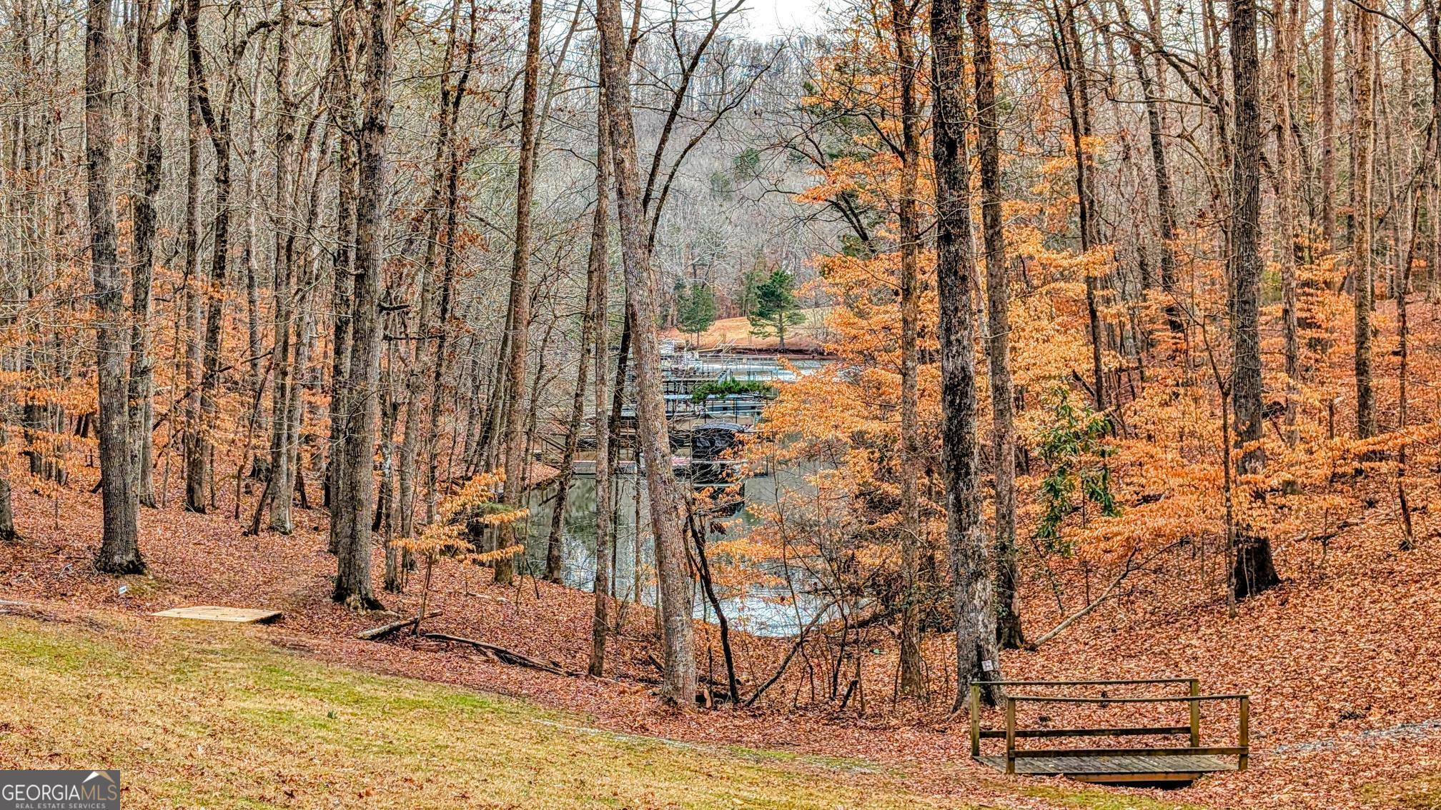 21 Lakepoint Drive Dawsonville GA 30534