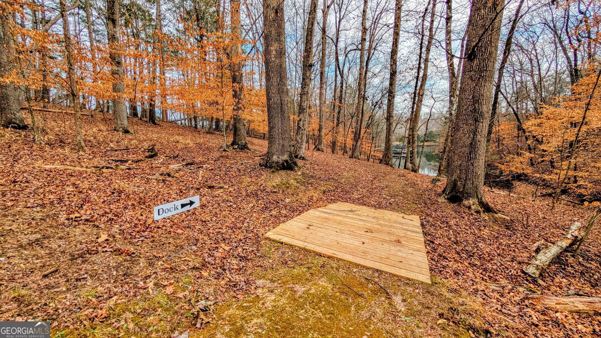 21 Lakepoint Drive Dawsonville GA 30534