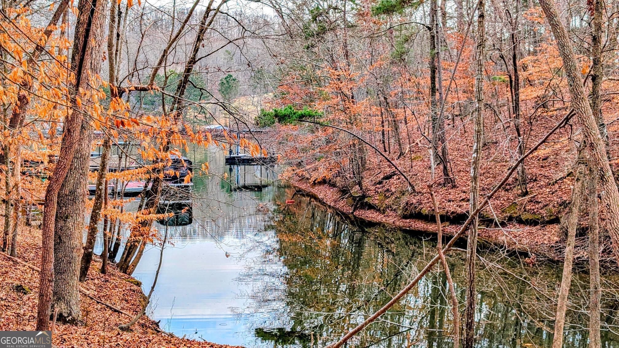 21 Lakepoint Drive Dawsonville GA 30534