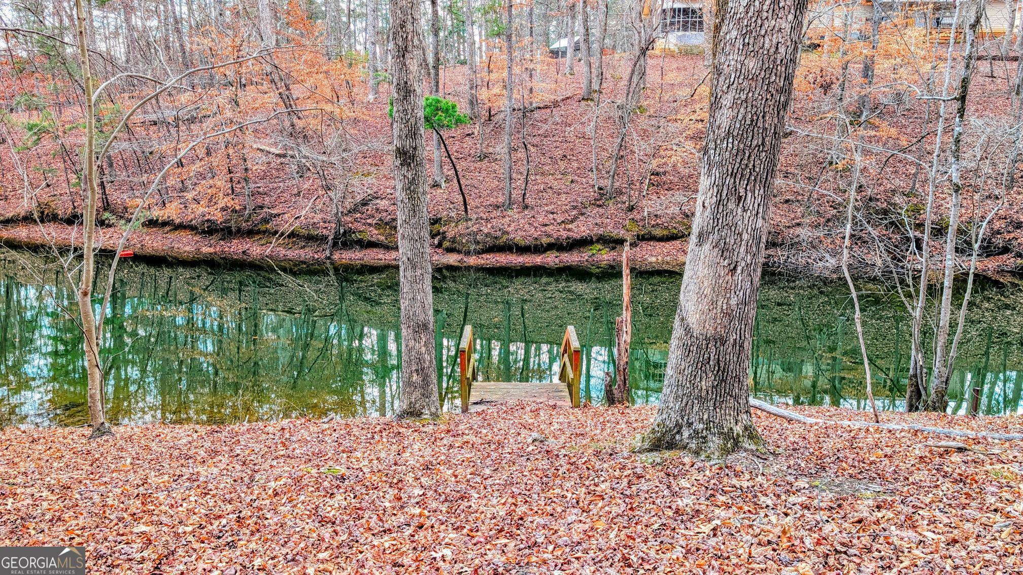 21 Lakepoint Drive Dawsonville GA 30534
