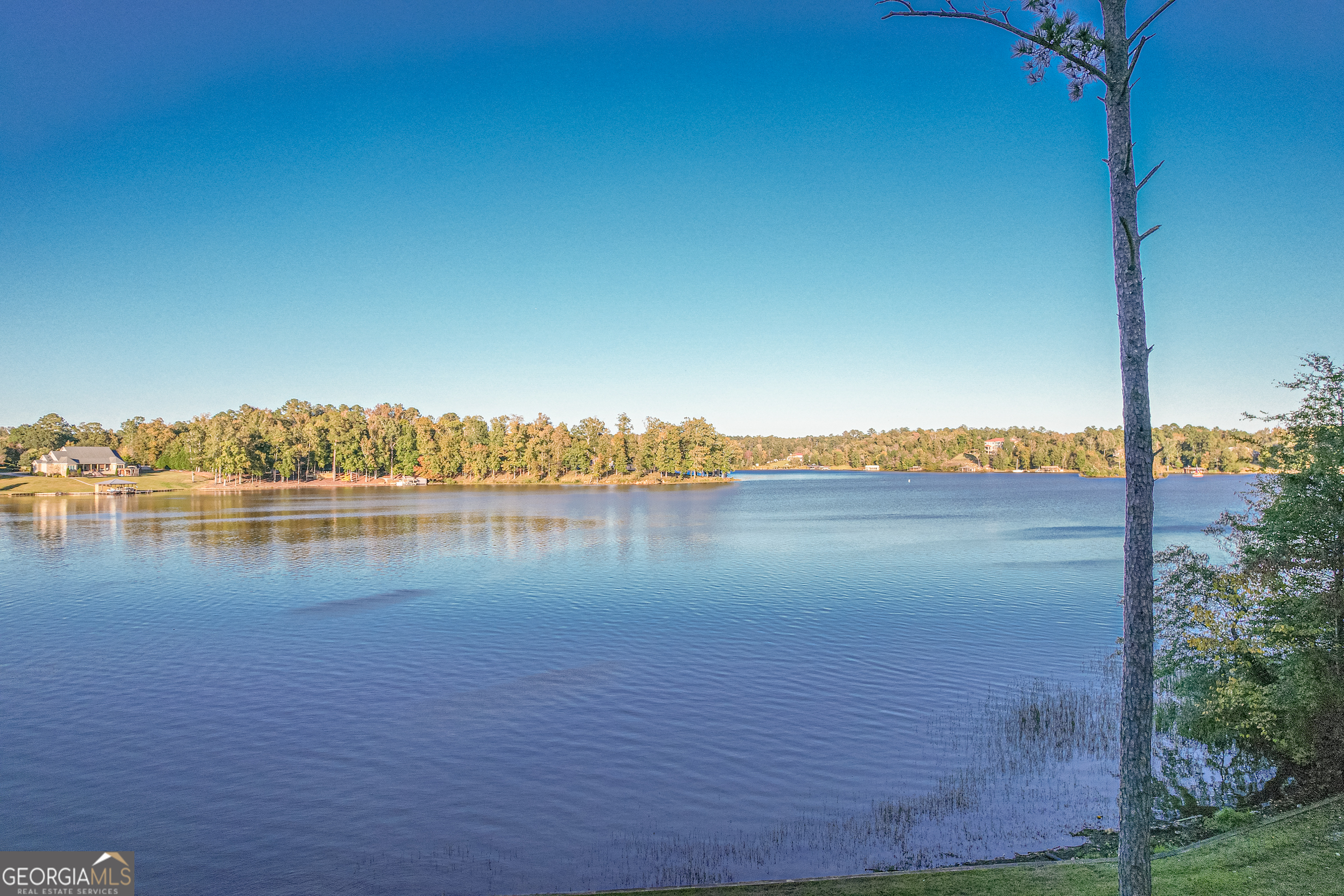 121 Grace Trace Lizella GA 31052