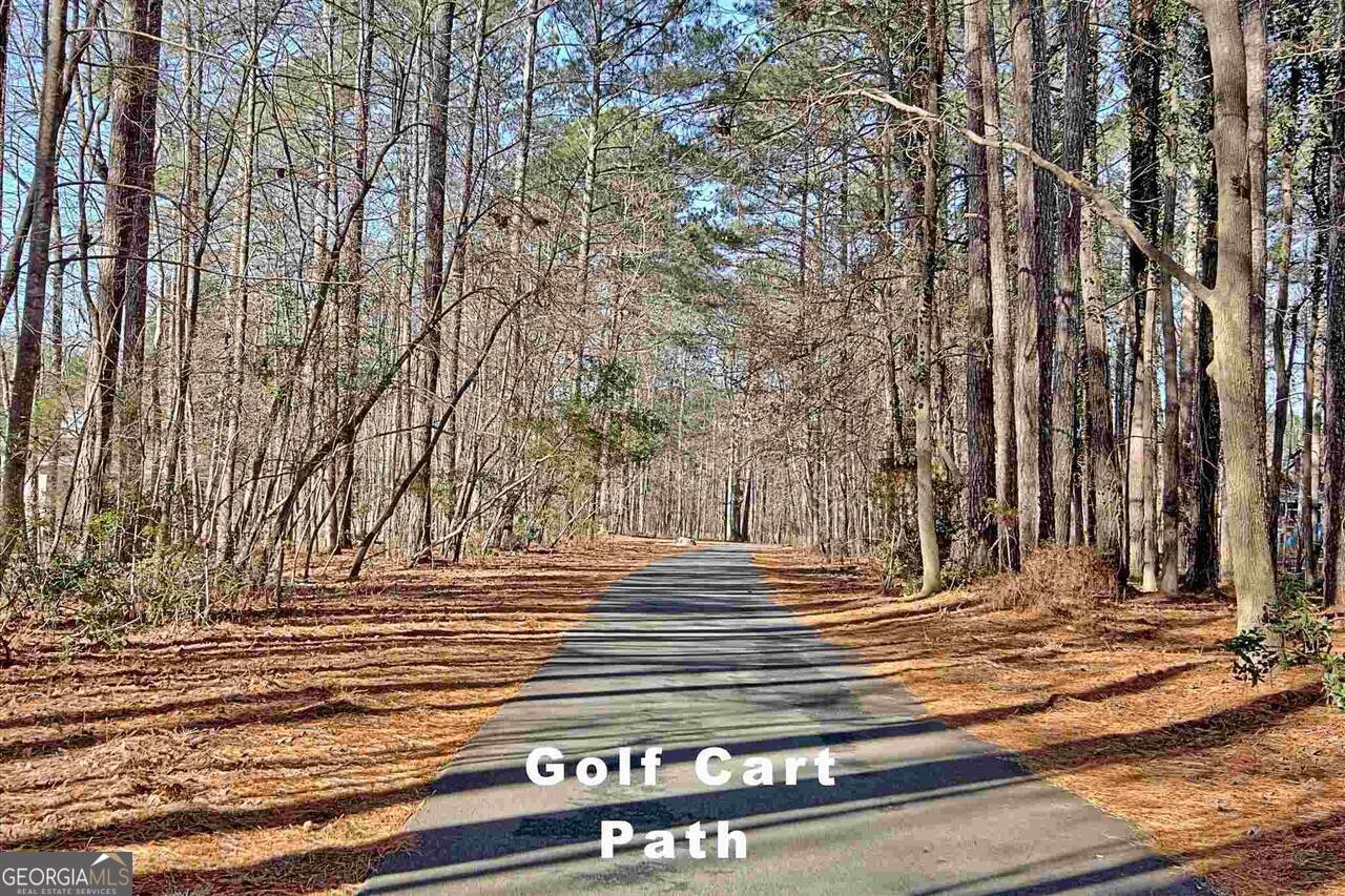 119 Terrace Tay Peachtree City GA 30269
