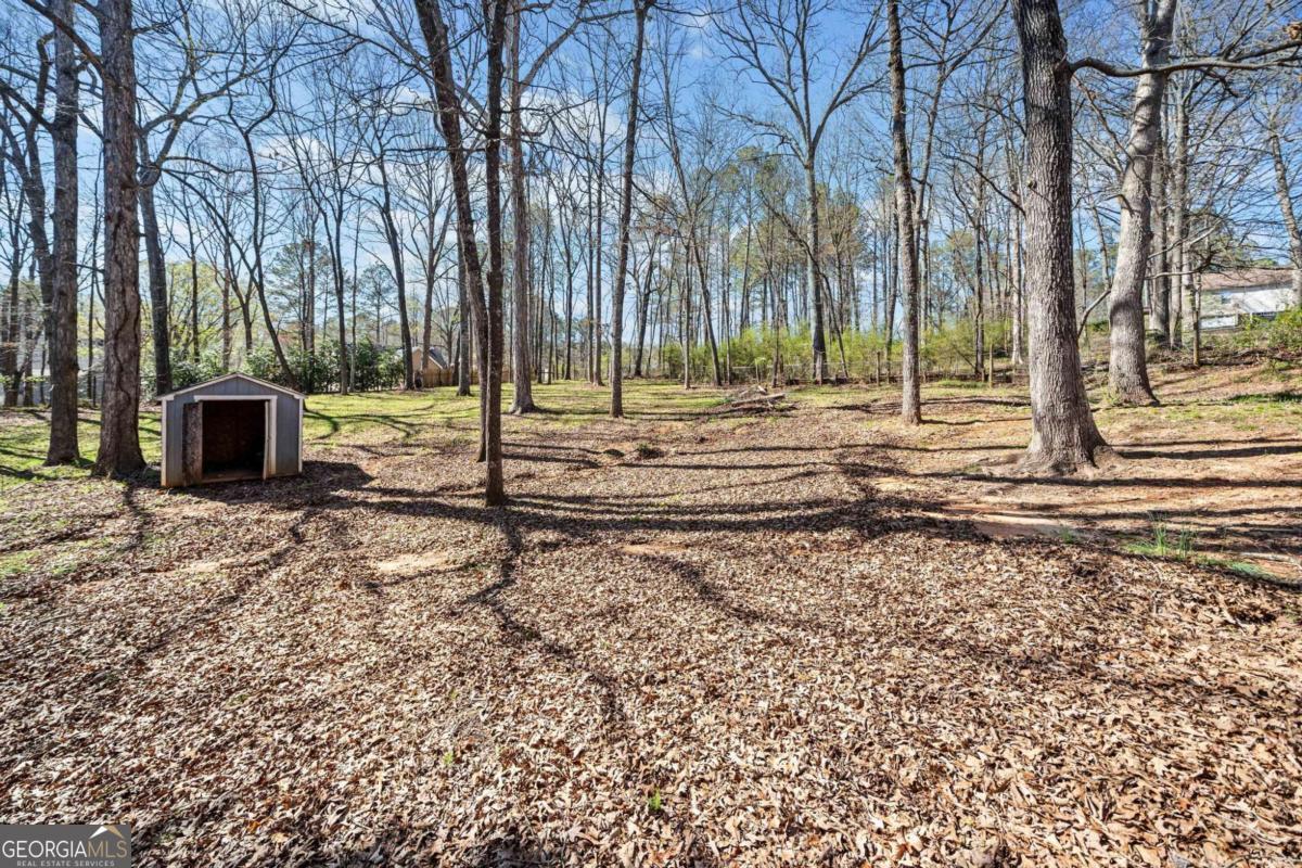228 Hawkins Farm Circle Ball Ground GA 30107