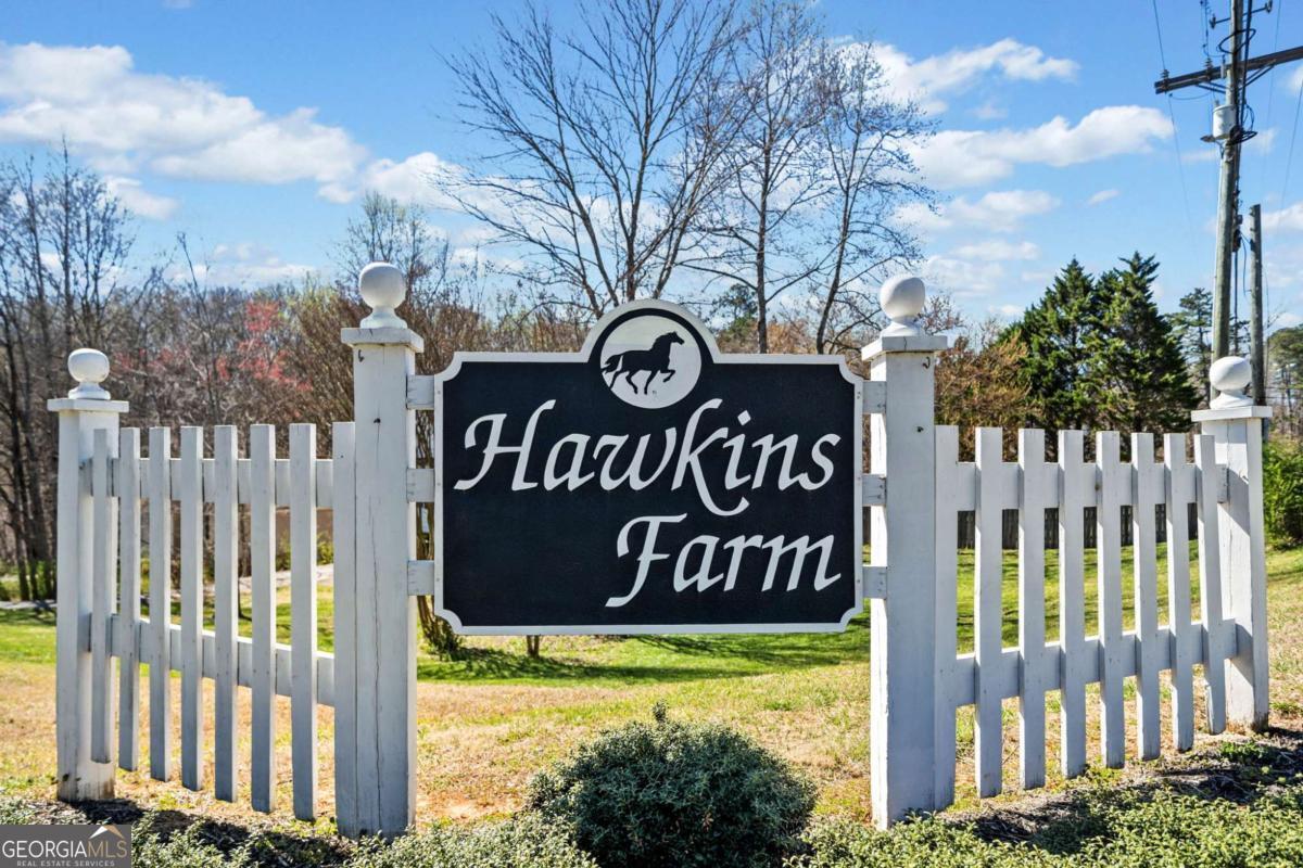 228 Hawkins Farm Circle Ball Ground GA 30107