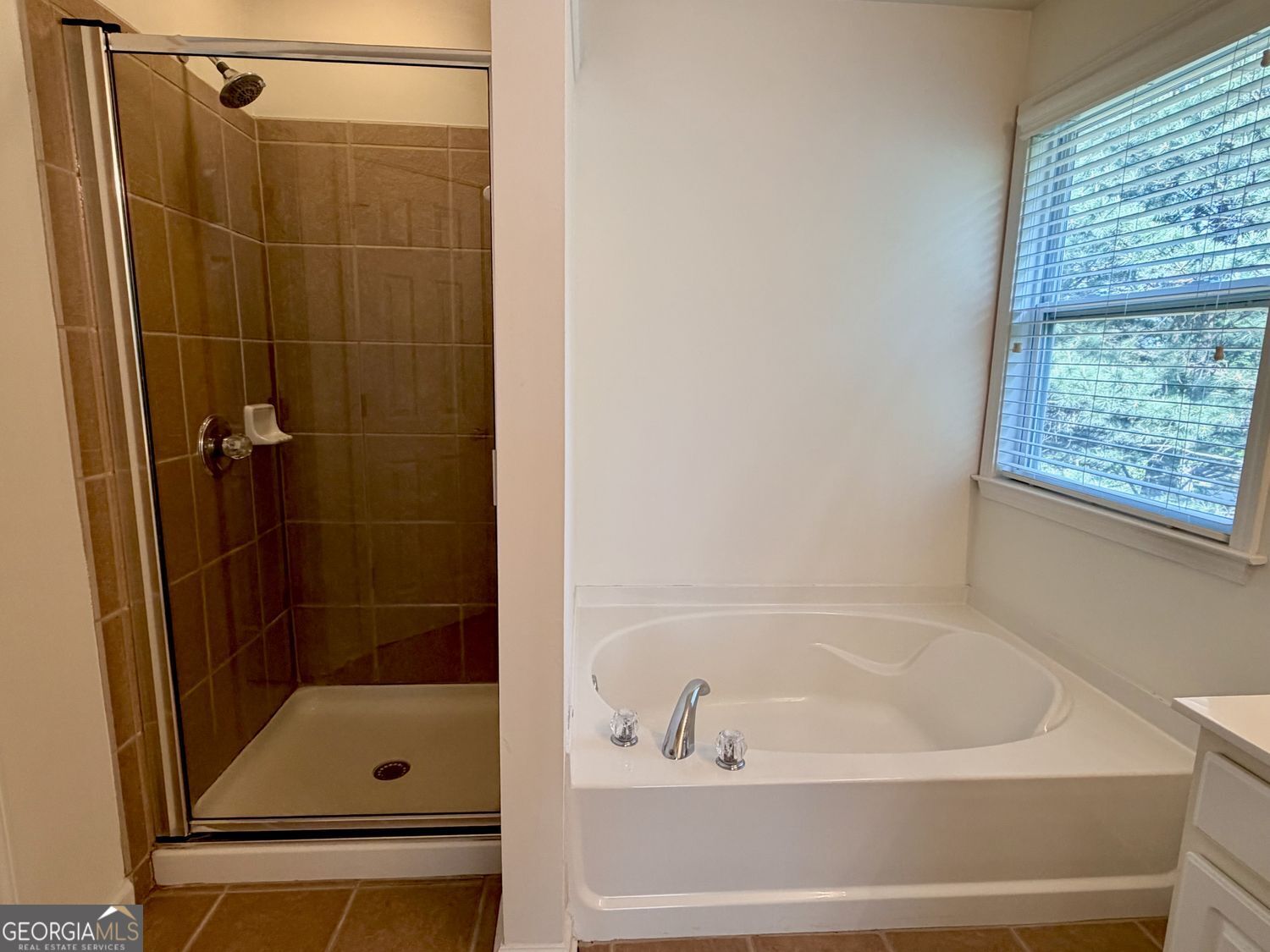 6243 Sawtooth Oak Court SE Mableton GA 30126