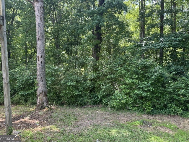 2799 Kristi Beth Court Dacula GA 30019