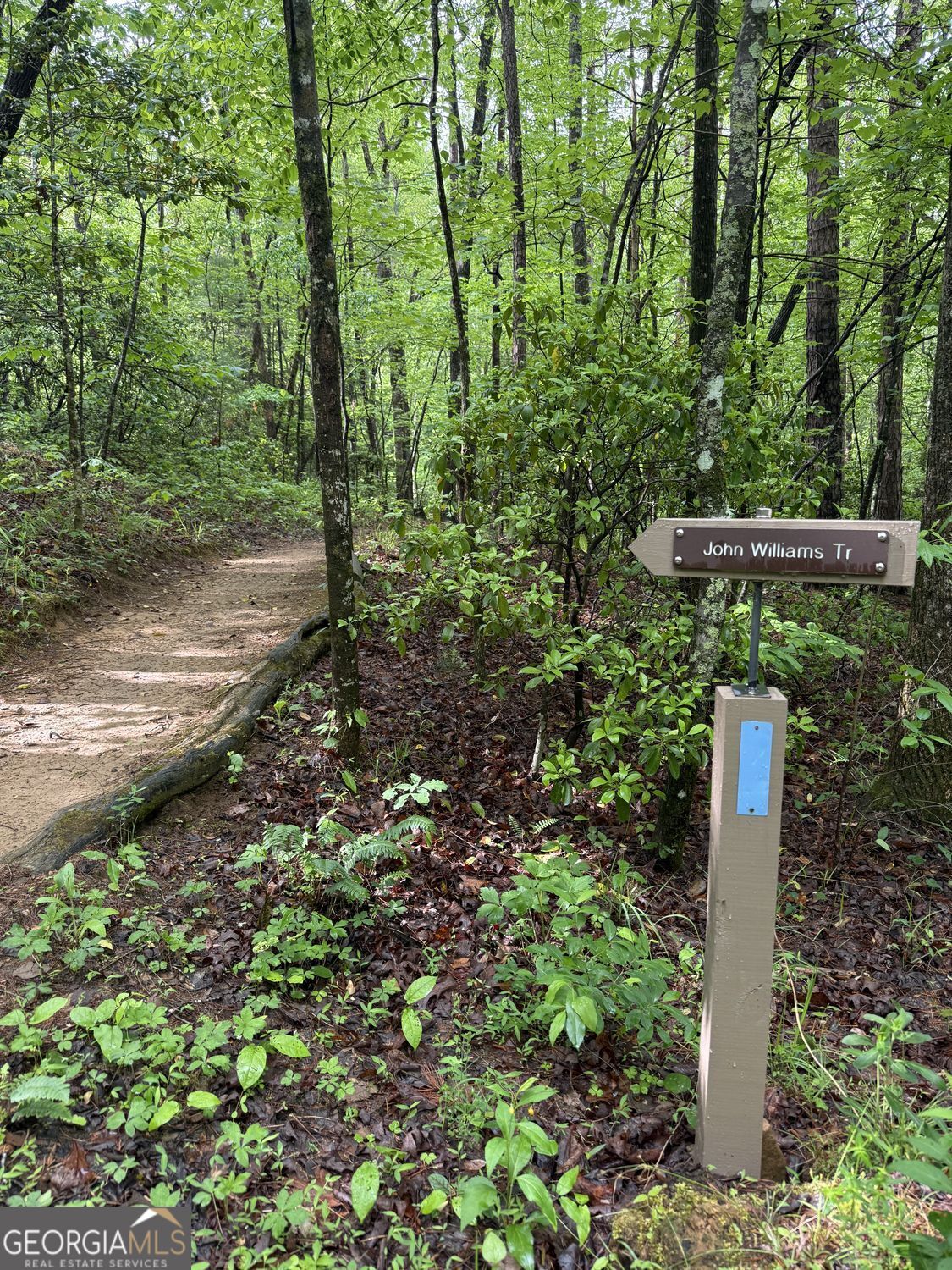 112 Trout Lily Trail Jasper GA 30143
