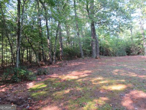 93 Mitchell Road Dahlonega GA 30533