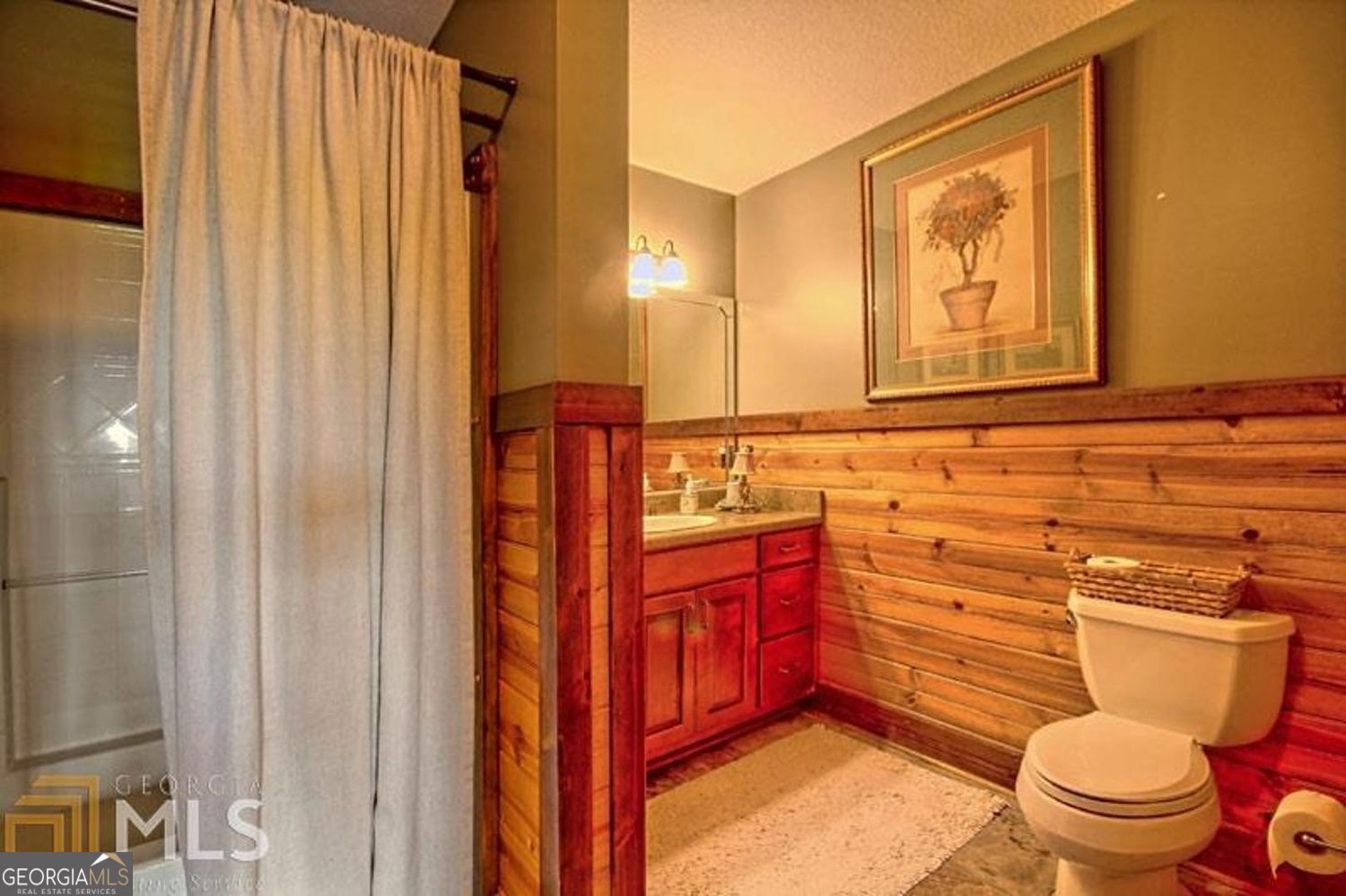 100 Corinth Lane Mountain City GA 30525