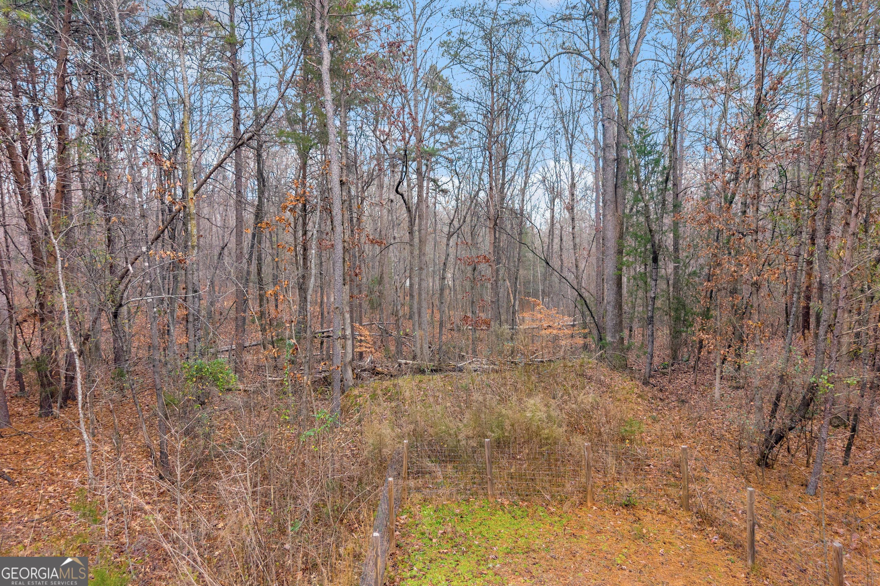 473 Chandler Place Drive Lavonia GA 30553