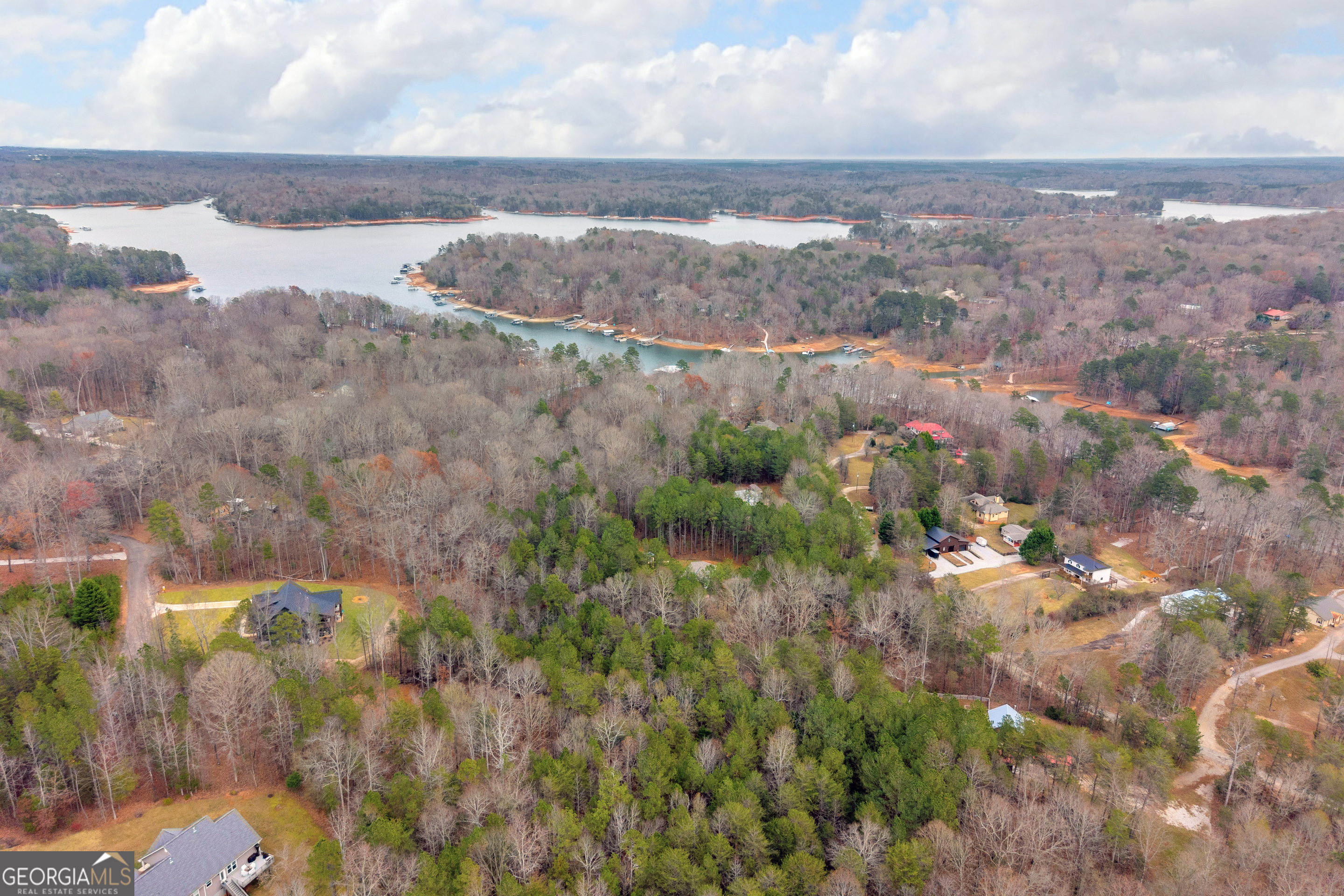 473 Chandler Place Drive Lavonia GA 30553