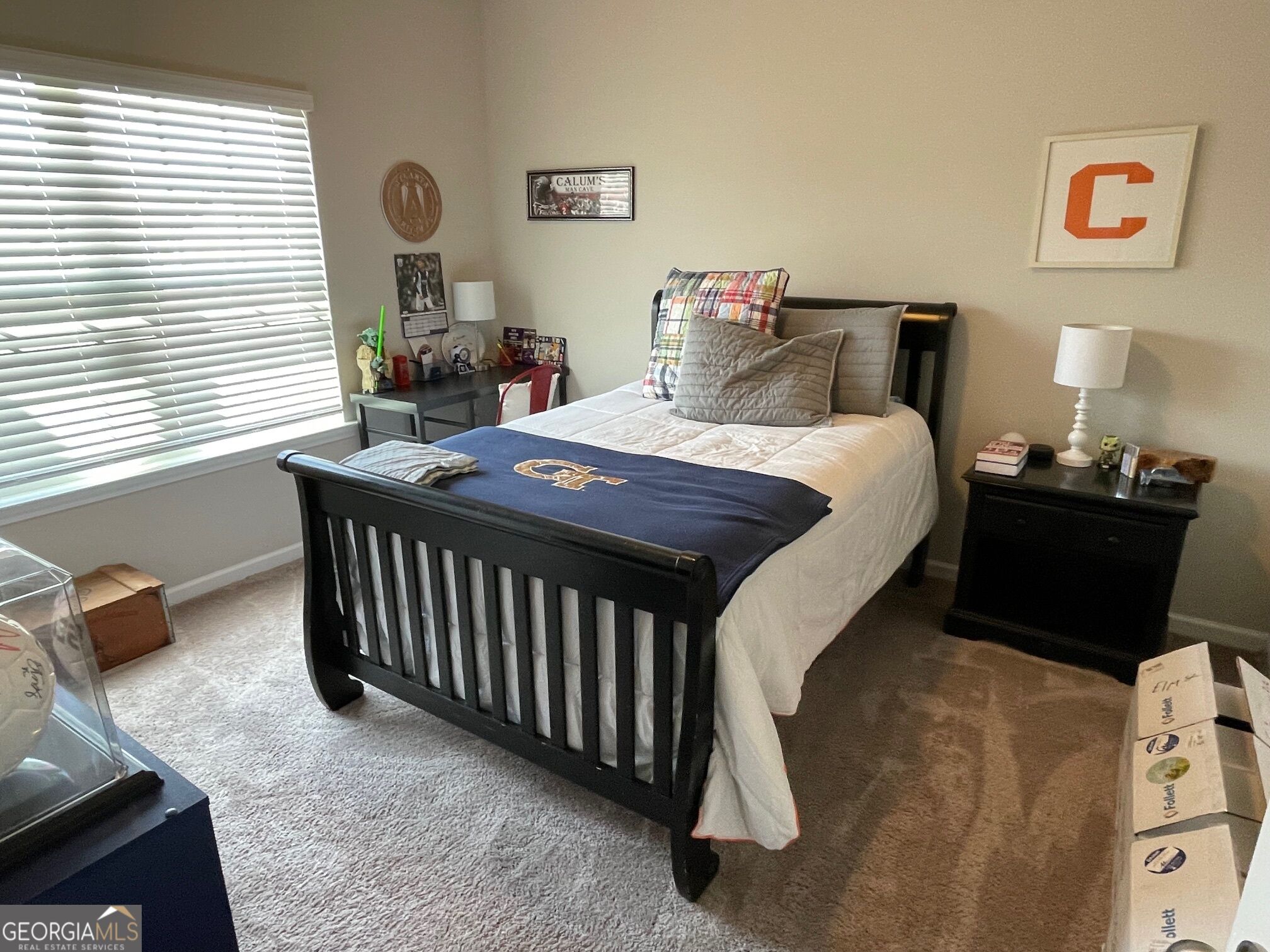 27 Carrington Way Newnan GA 30265