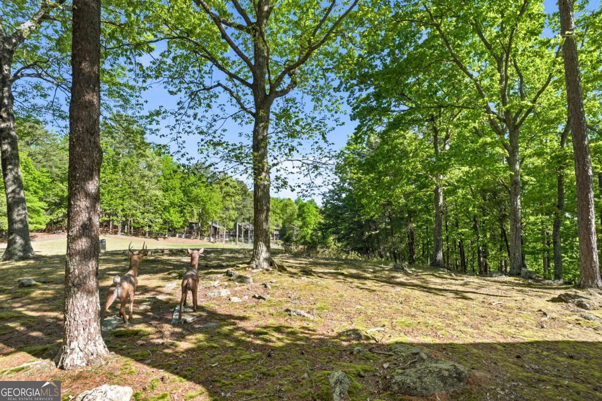 114 Cherokee Drive S Waleska GA 30183