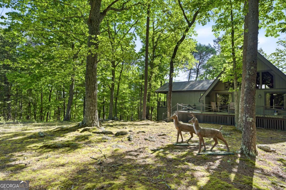 114 Cherokee Drive S Waleska GA 30183