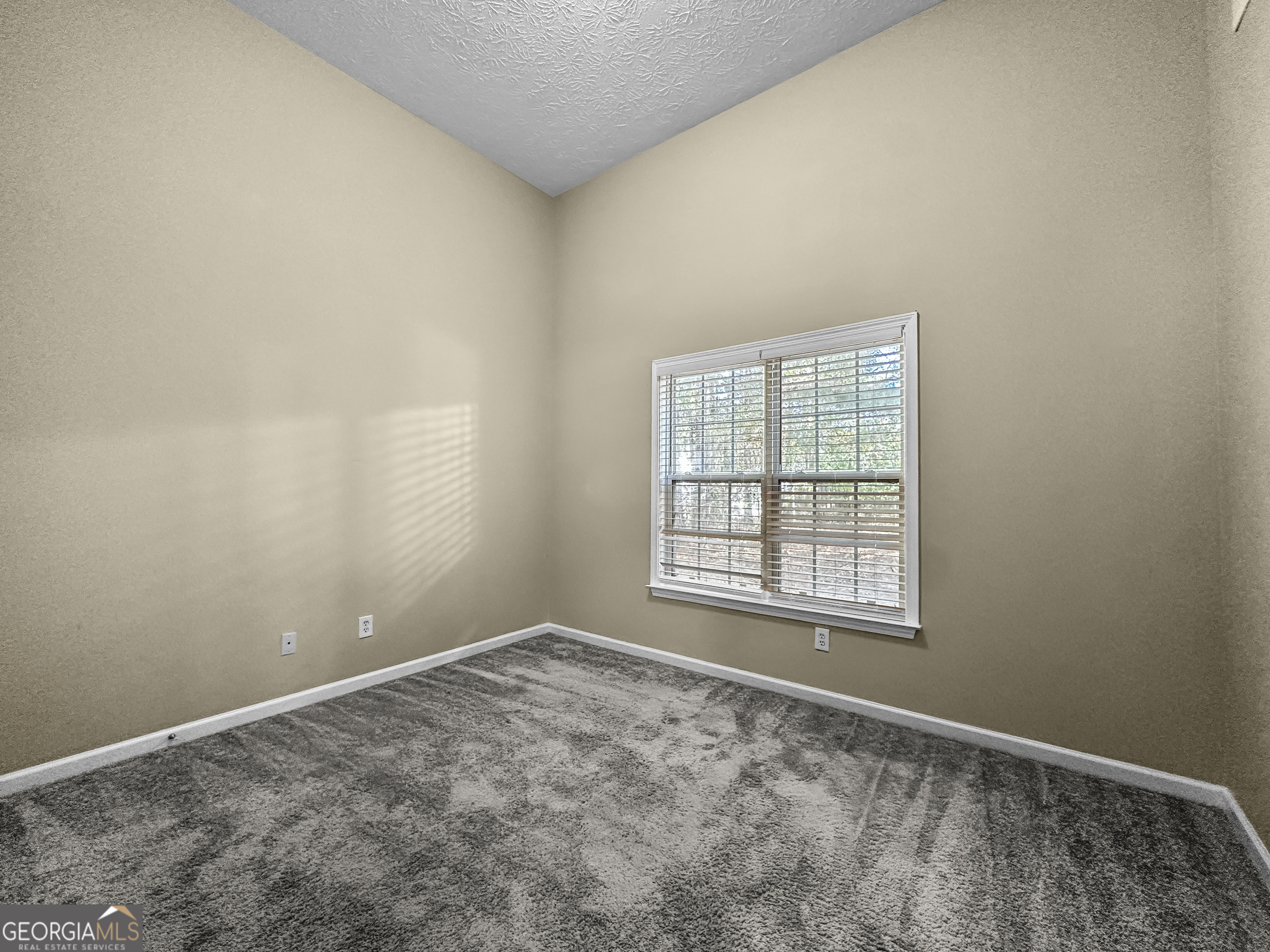 130 Hibiscus Trail Fayetteville GA 30215