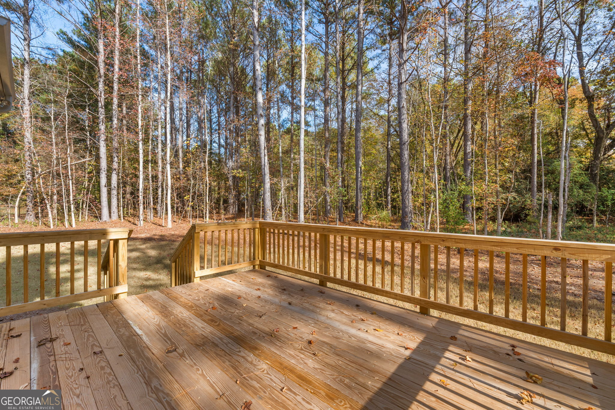 2002 Millstream Court Griffin GA 30224