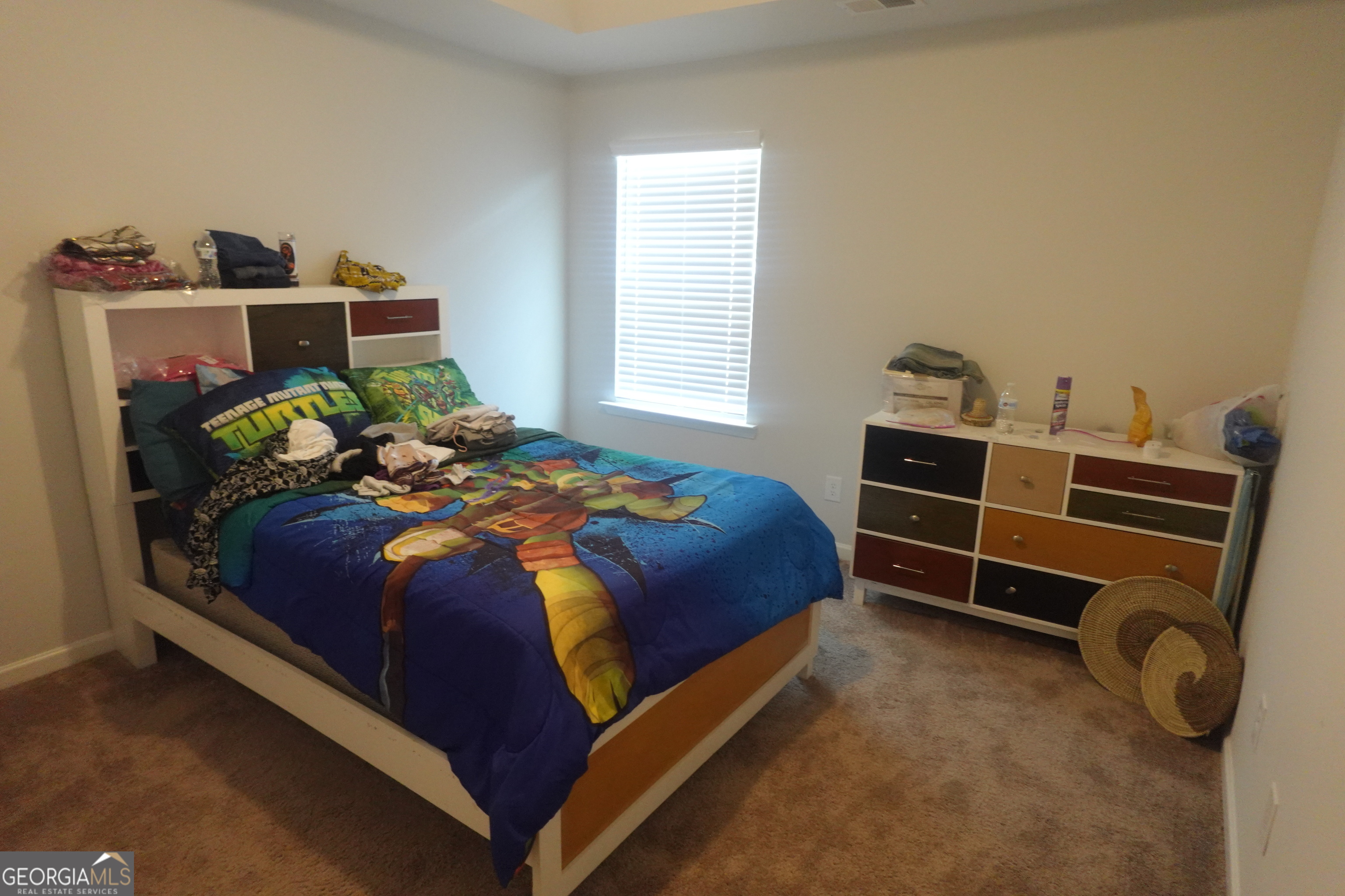 175 Tulip Drive Covington GA 30016