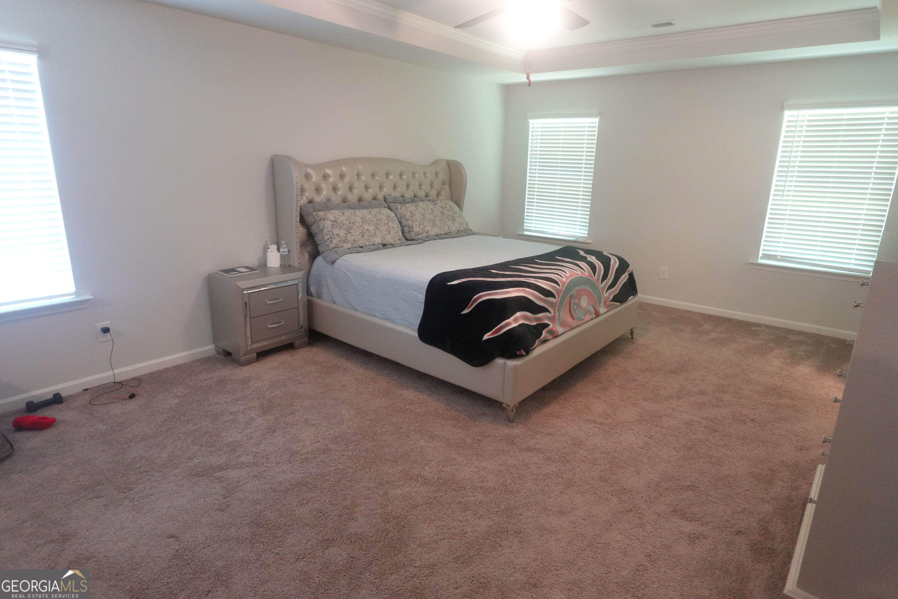 175 Tulip Drive Covington GA 30016