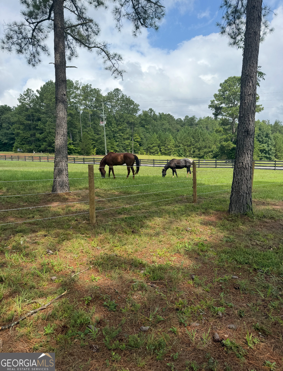 950 Island Shoals Road Jackson GA 30233
