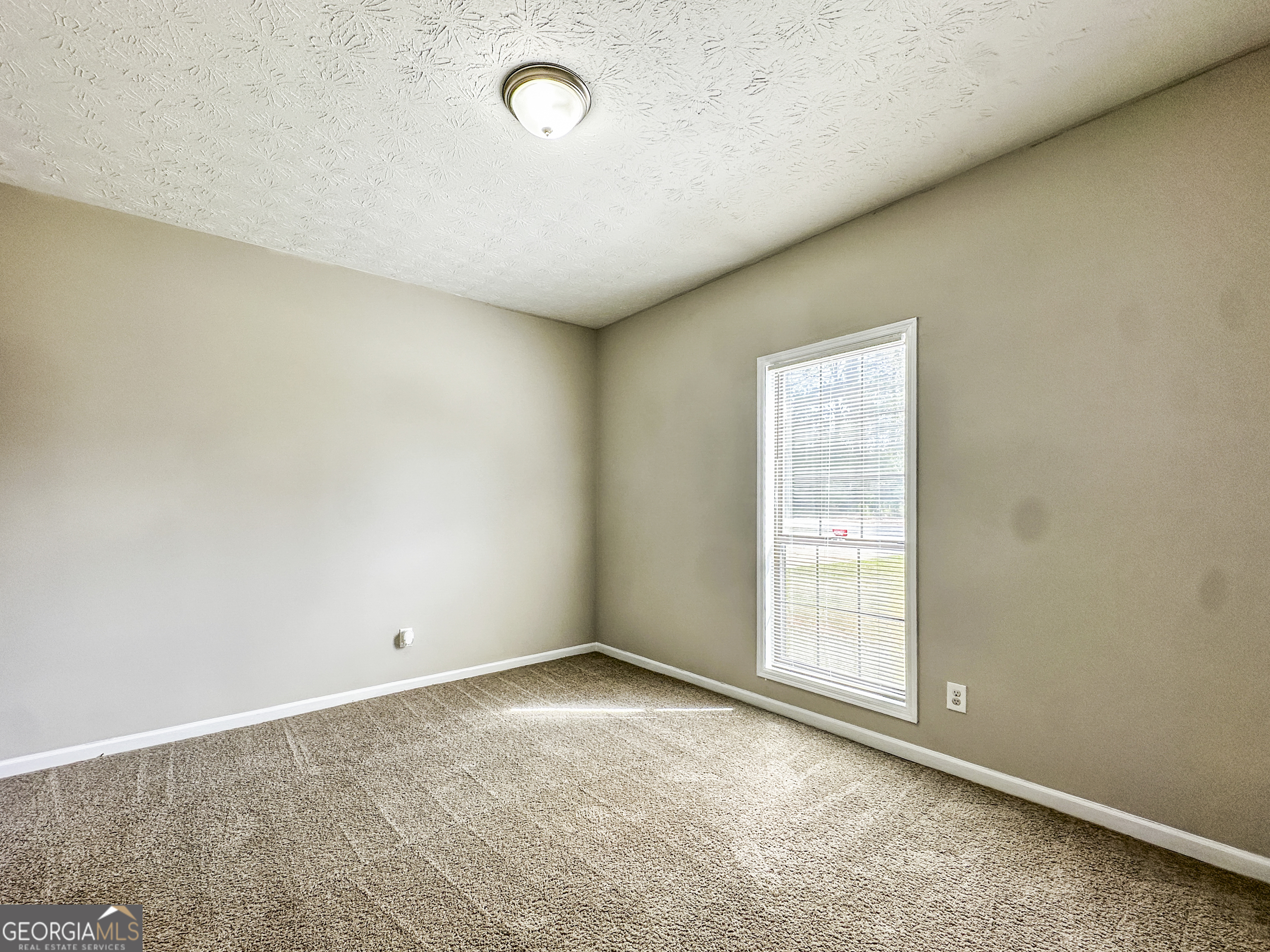 11647 Matthews Trail Hampton GA 30228