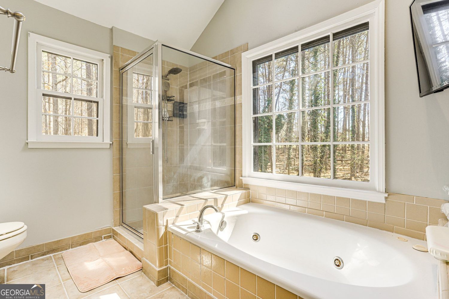 3595 Chastain Court Alpharetta GA 30004