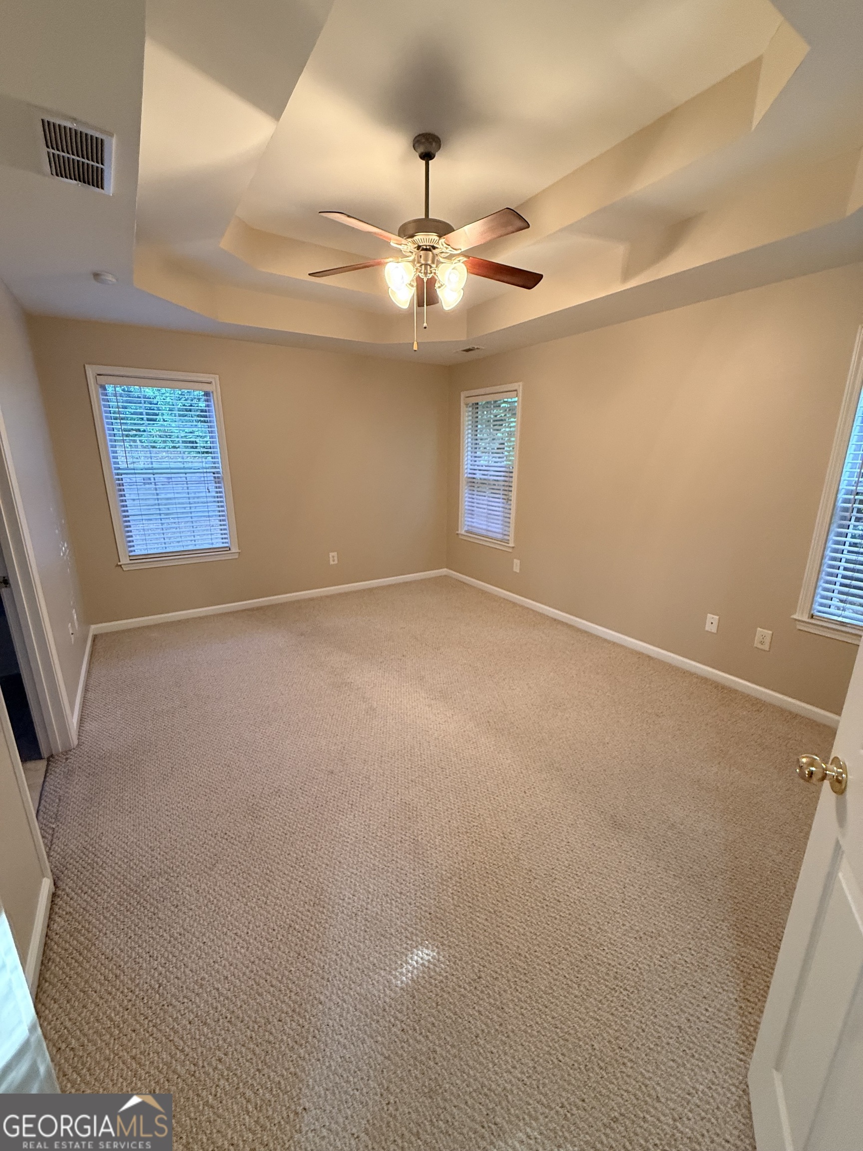 3 Castleton Court Newnan GA 30263