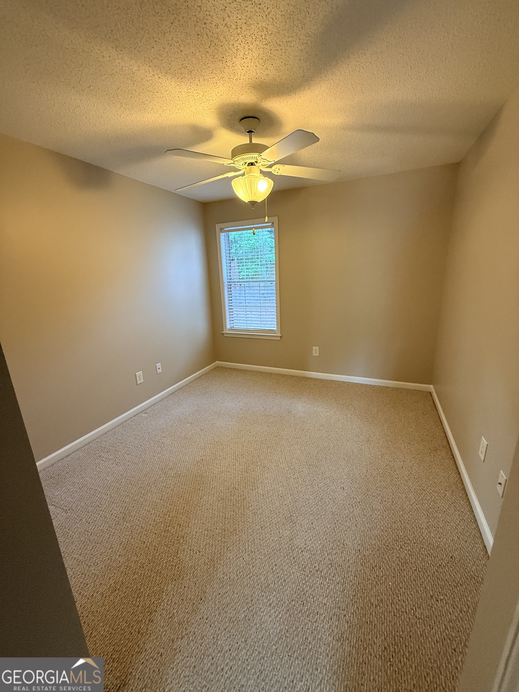 3 Castleton Court Newnan GA 30263