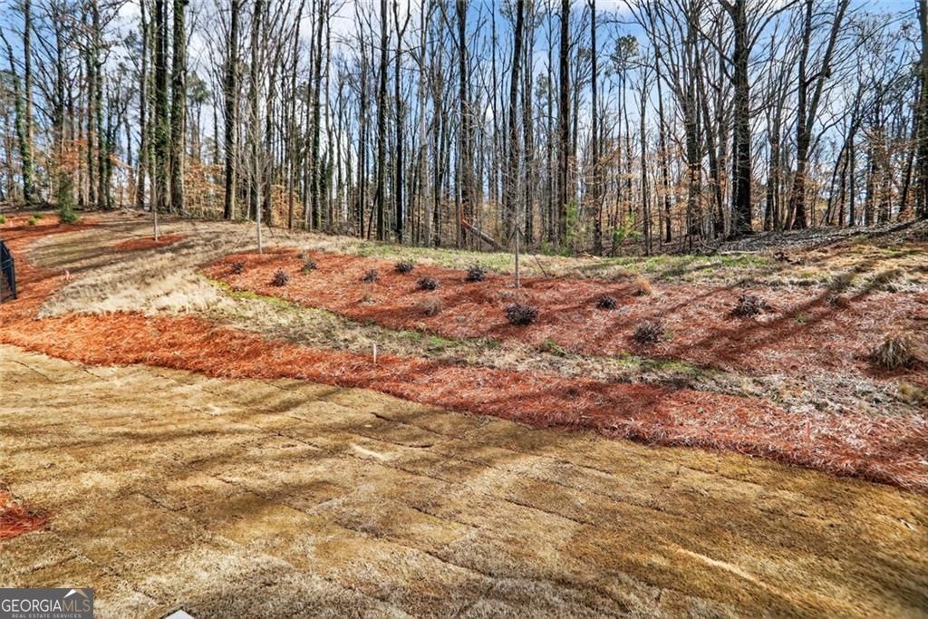 2818 Georgia Aster Way Atlanta GA 30318