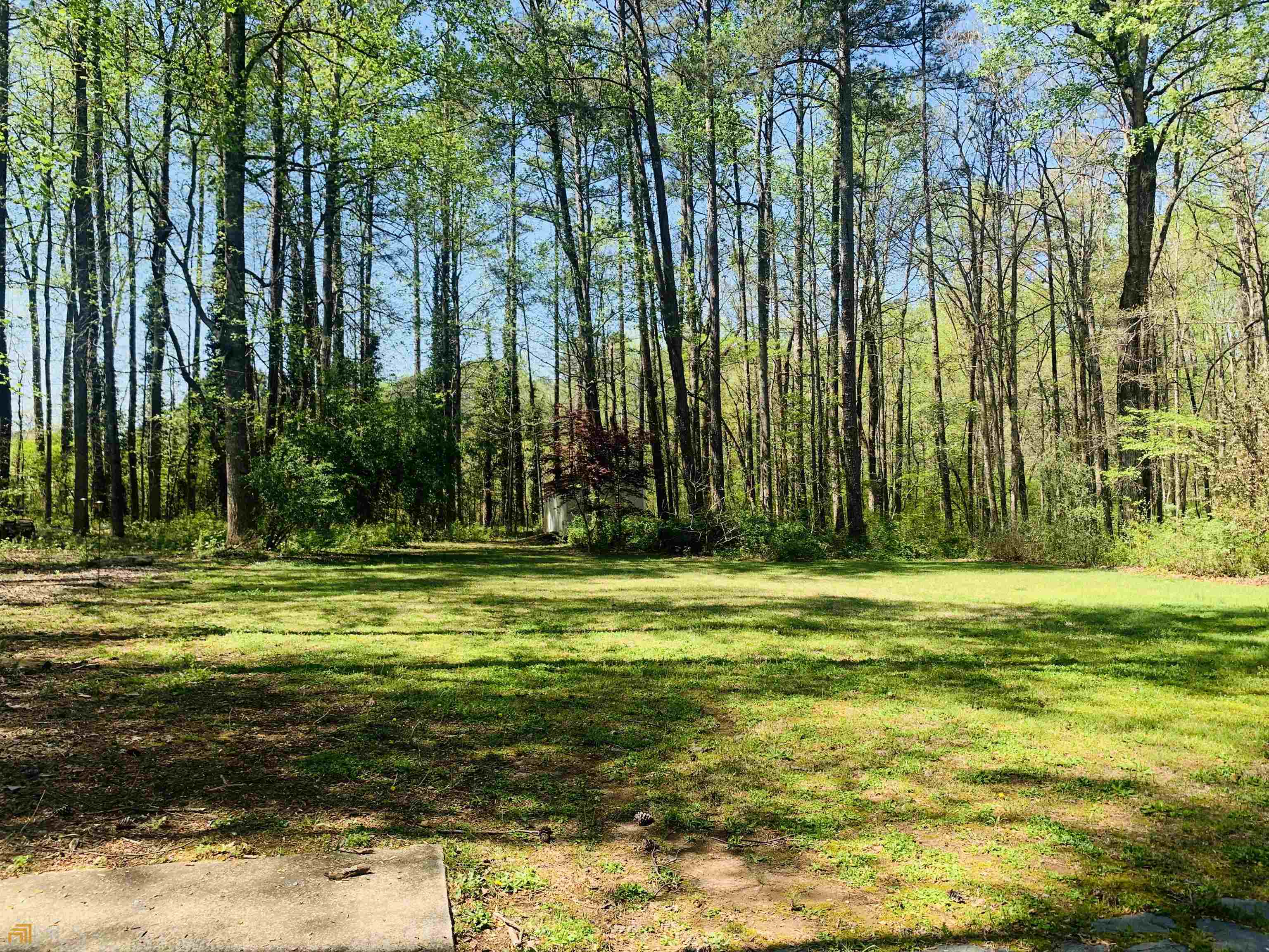 210 Spring Forest Way Sharpsburg GA 30277