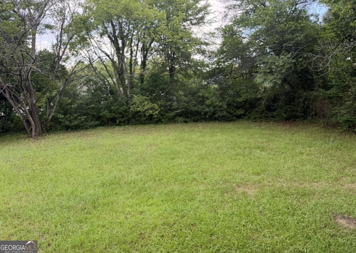1325 Dent Street Macon GA 31206