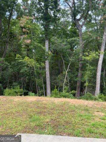 3790 Highway 52 W Dahlonega GA 30533