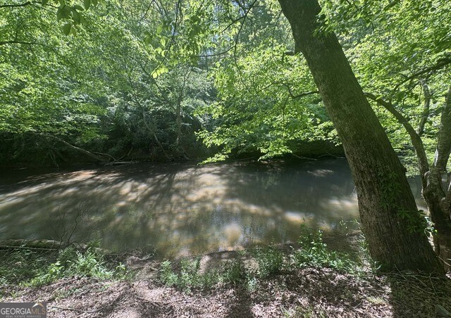 597 Meadow Brook Lane Royston GA 30662