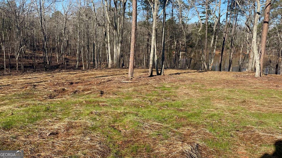 415 Walton Road Barnesville GA 30204