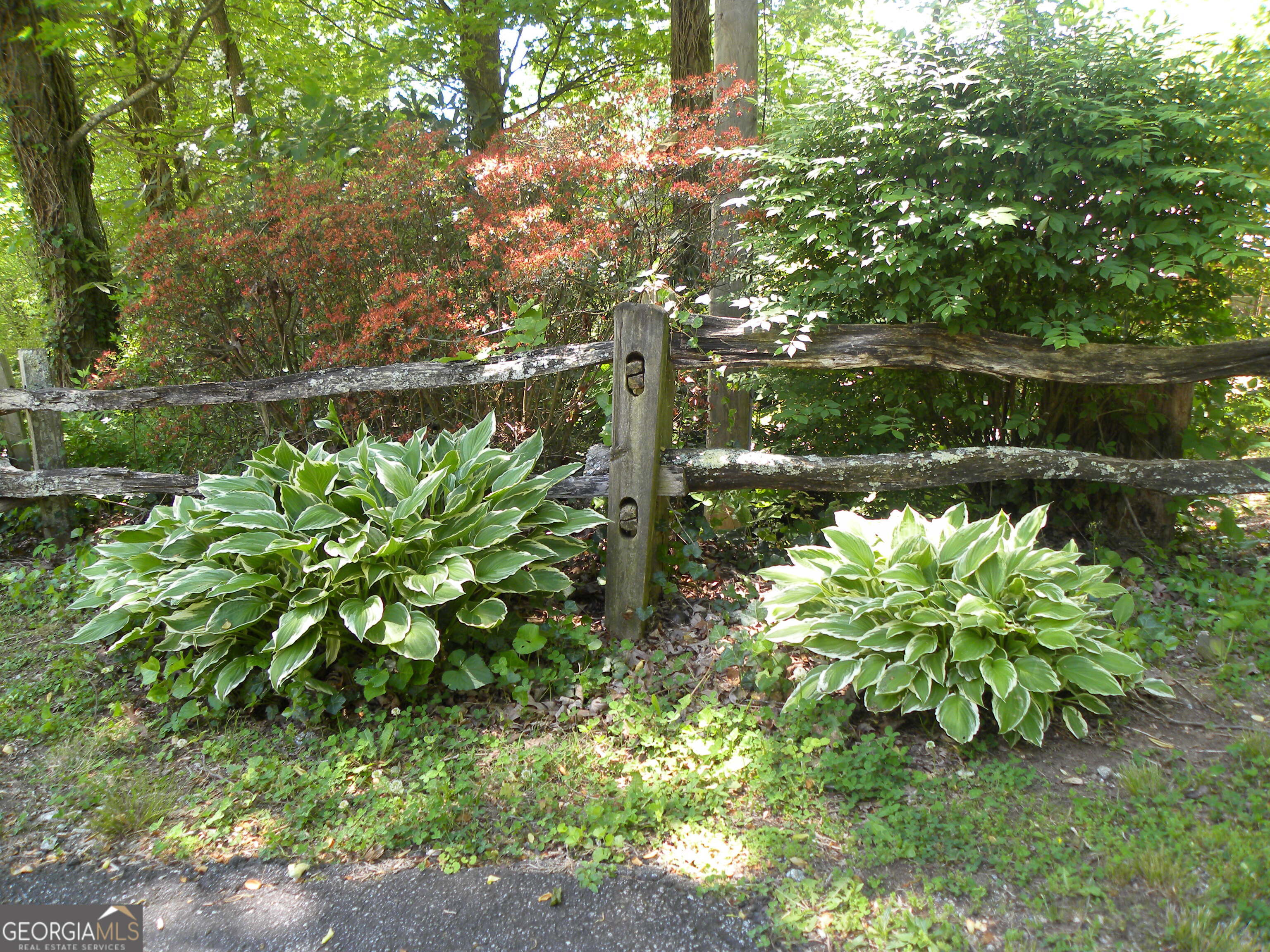 153 Will Zoellner Lane Mountain City GA 30525
