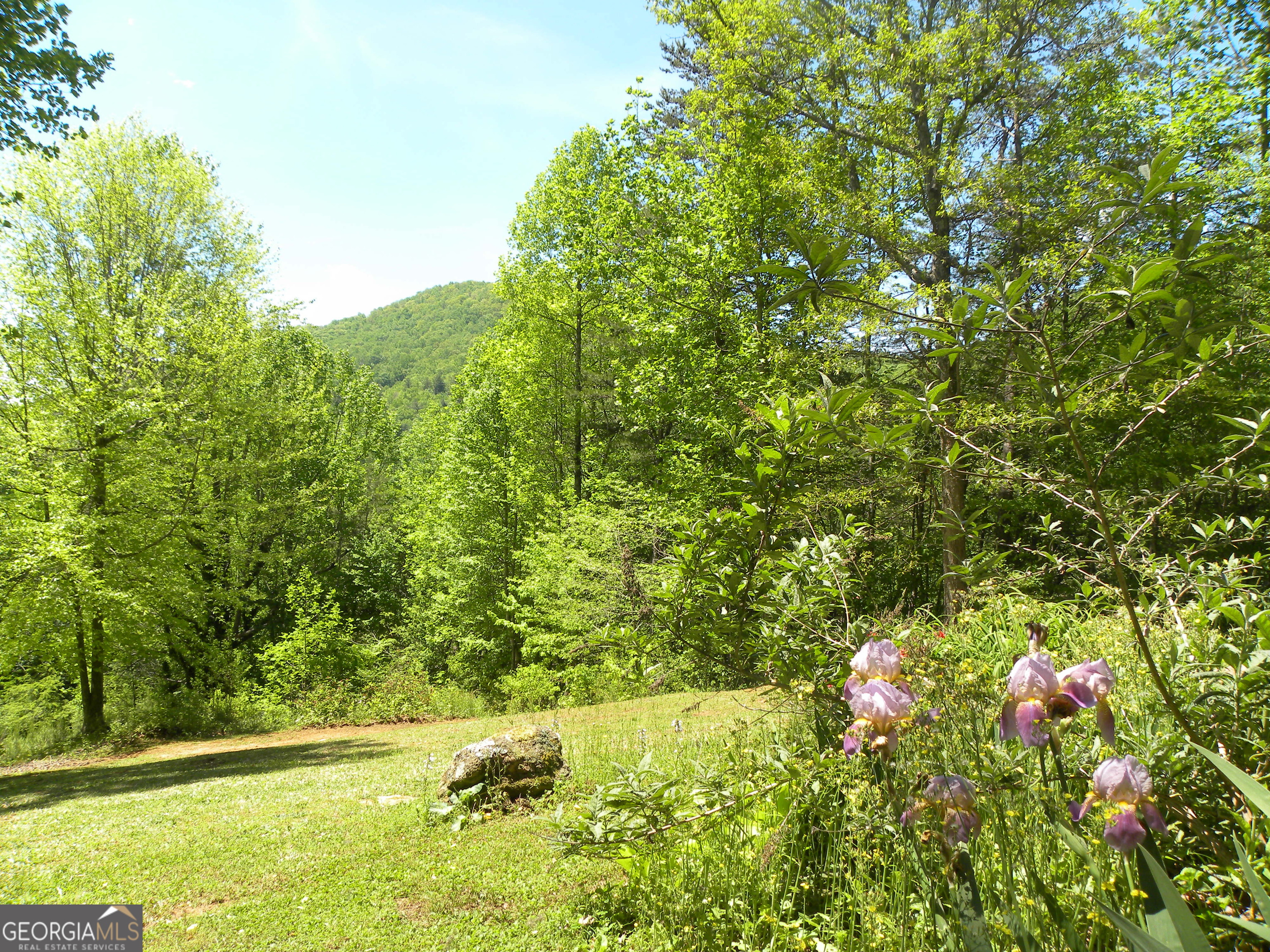 153 Will Zoellner Lane Mountain City GA 30525
