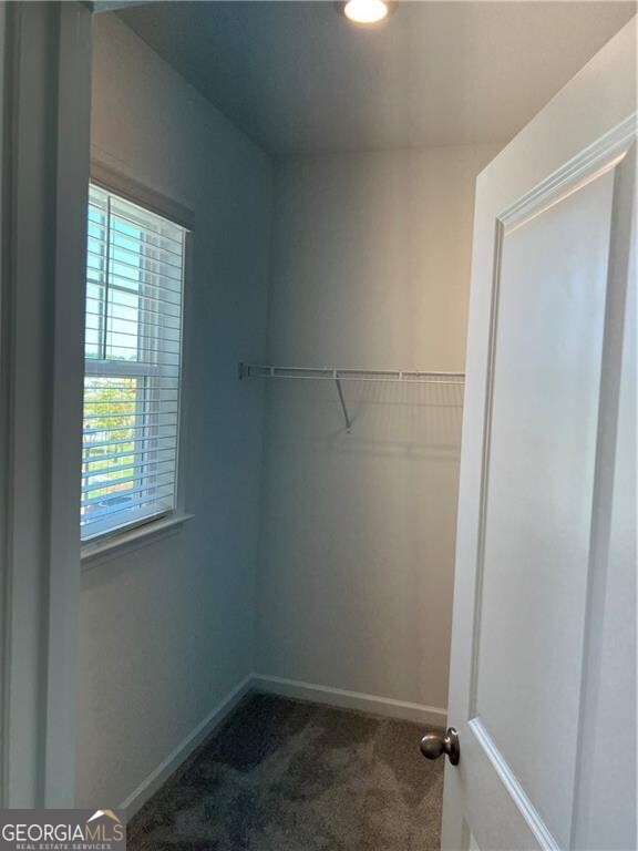 3052 Brindale Drive Duluth GA 30097