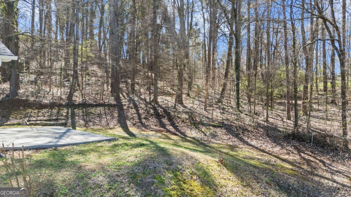4383 Mitchell Hill Drive Acworth GA 30101