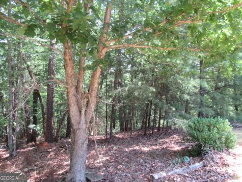 13 Hallmark Place Dahlonega GA 30533