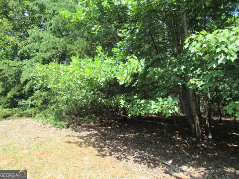 13 Hallmark Place Dahlonega GA 30533