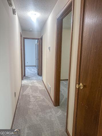 310 Georgia Avenue Dahlonega GA 30533