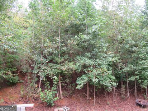 44 Cleves Way Dahlonega GA 30533