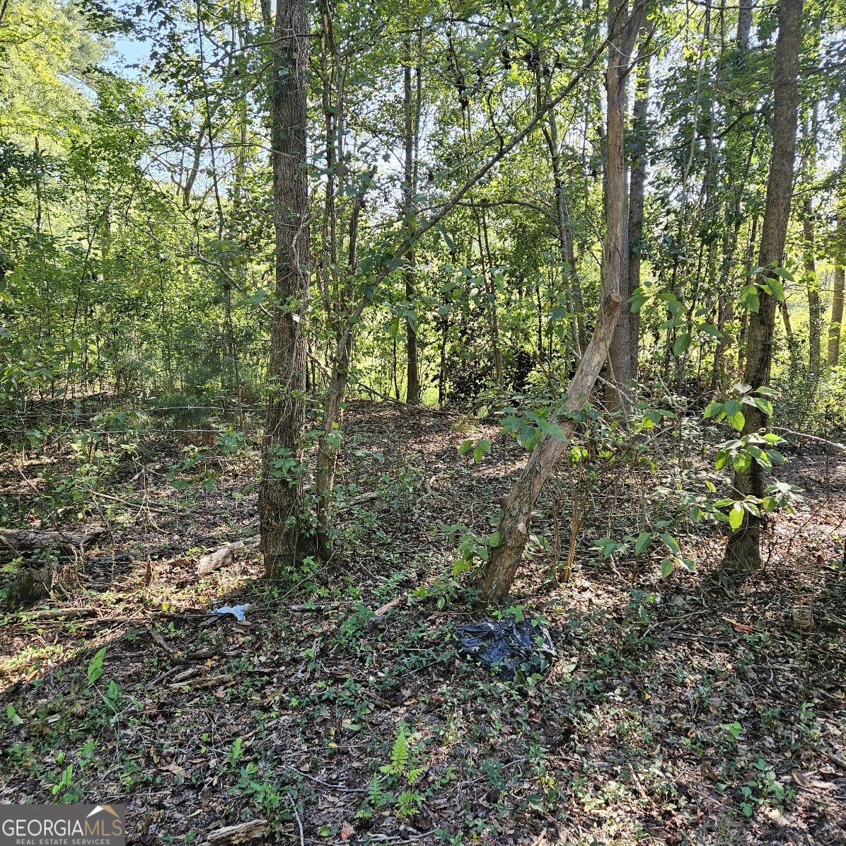 1196 Hendricks Road Fort Valley GA 31030