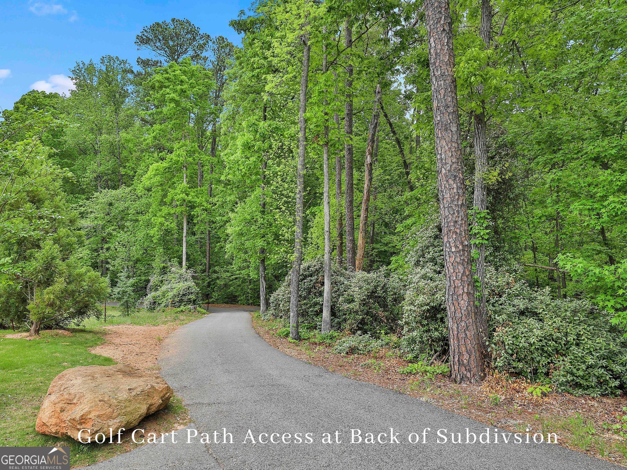 940 Laurel Brooke Avenue Peachtree City GA 30269