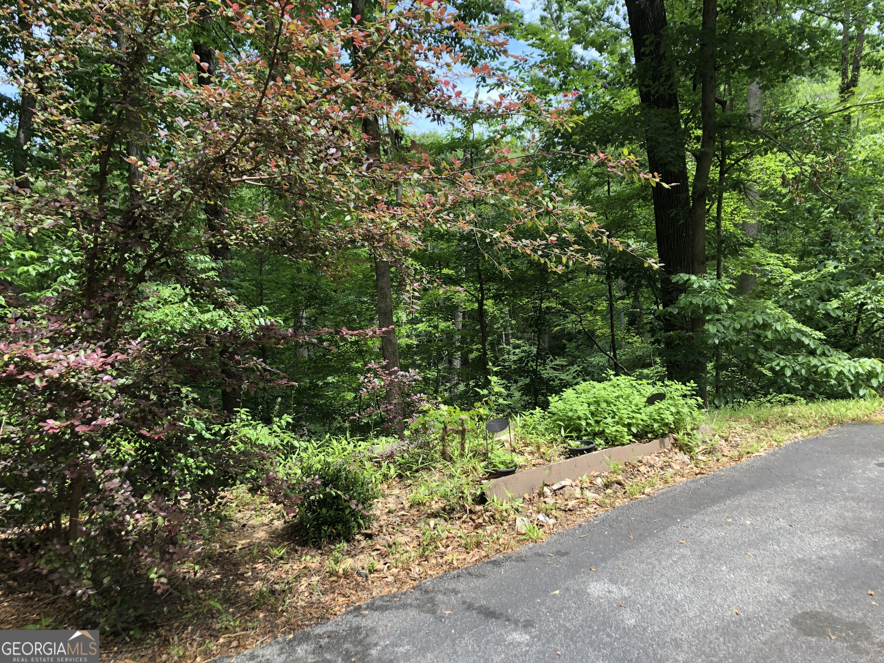 783 Henderson Falls Road Toccoa GA 30577
